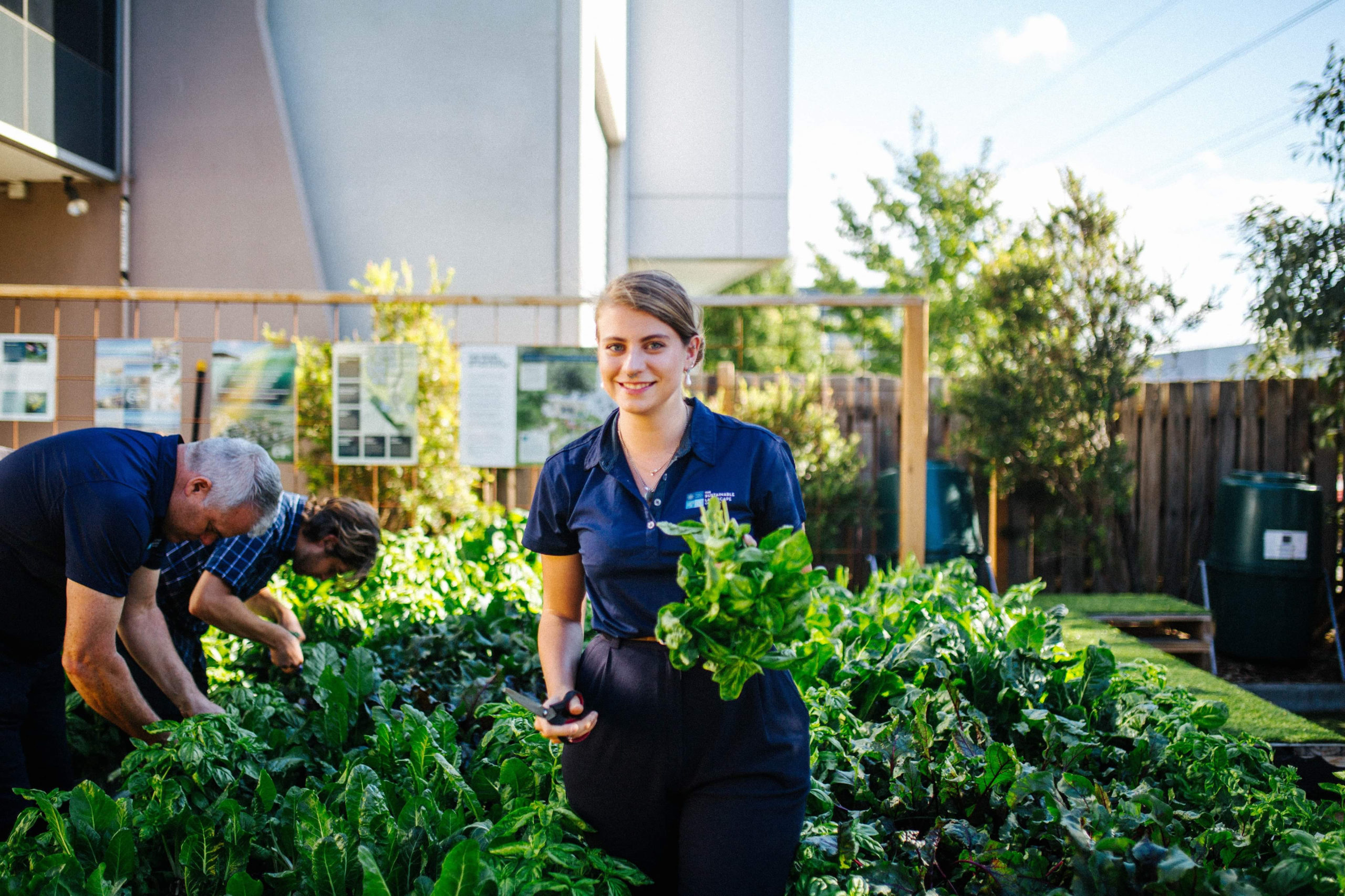 Wholesale Coffee Supplies The Sustainable Coffee Company